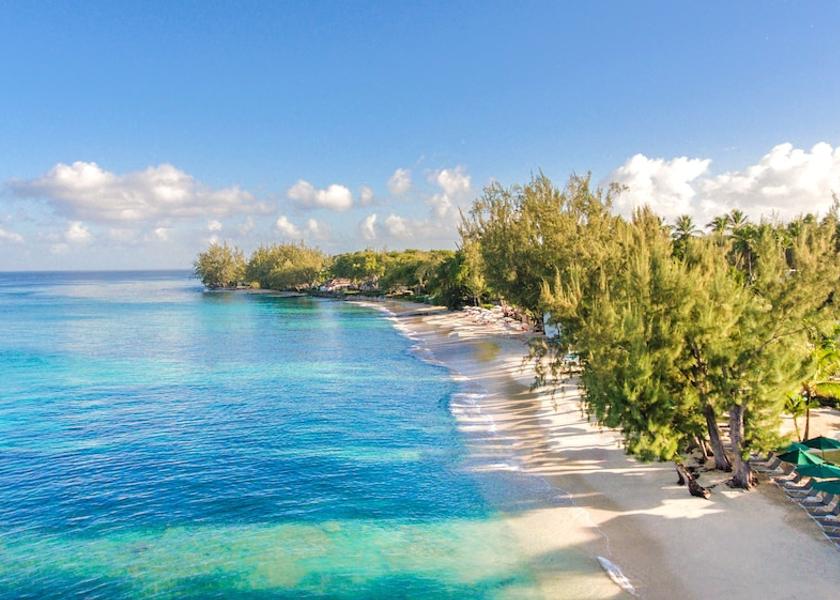  Holetown Primary image