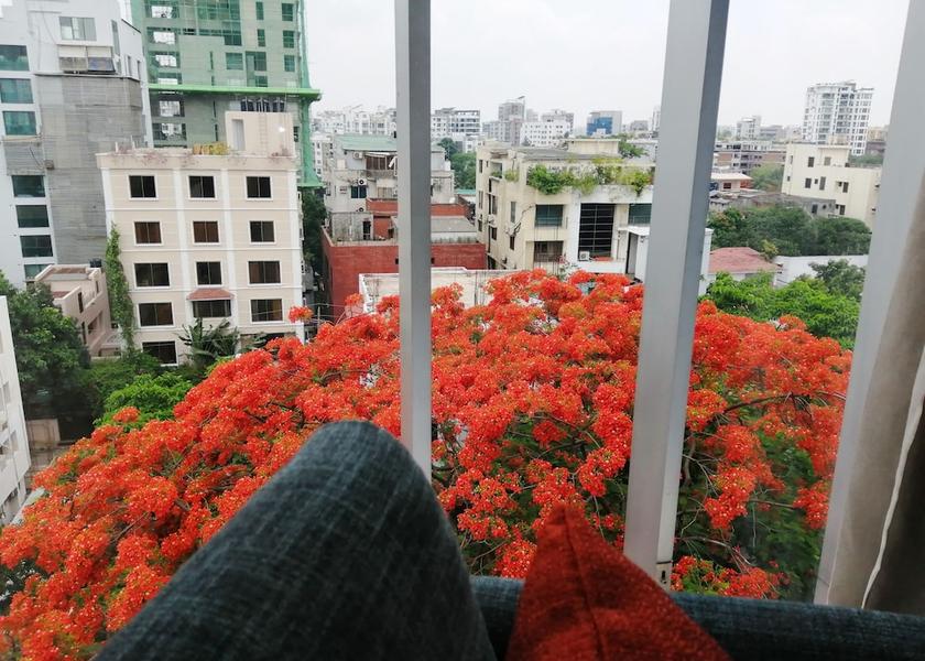 Dhaka Division Dhaka Garden view