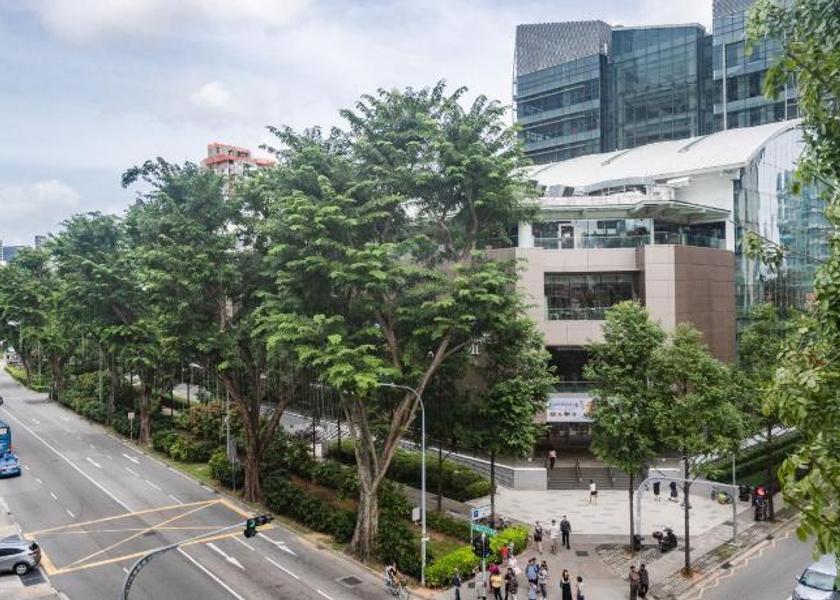  Singapore 
