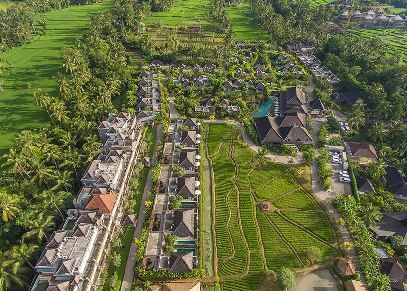 Bali Ubud Surrounding environment