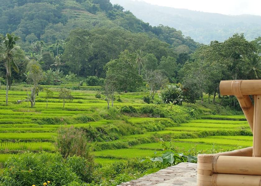 East Nusa Tenggara Desa Kowanara View from Property