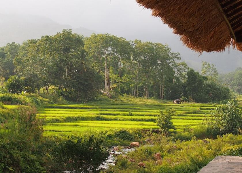 East Nusa Tenggara Desa Kowanara View from Property