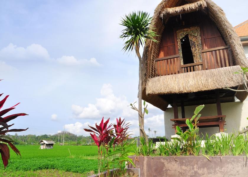 Bali Denpasar Property grounds