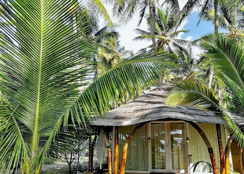 East Nusa Tenggara Maumere Room