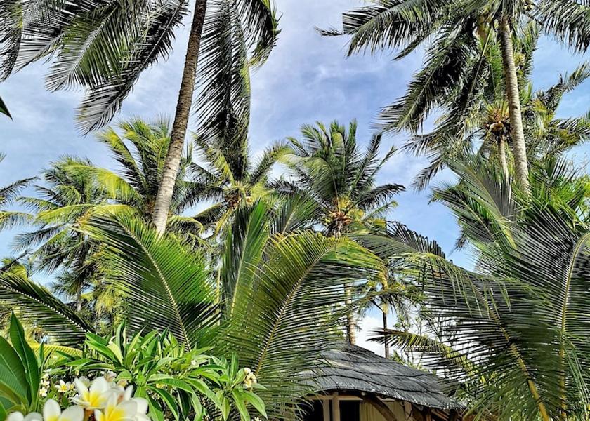 East Nusa Tenggara Maumere Room