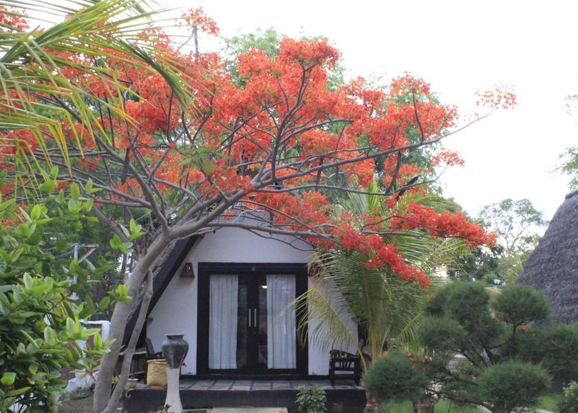 West Nusa Tenggara Gili Air Room