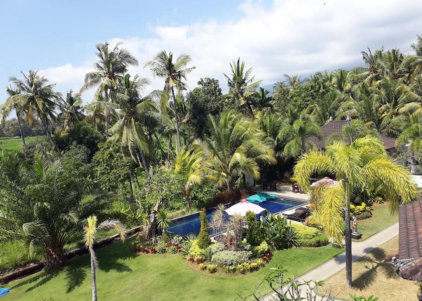 Bali Sukasada View from Property