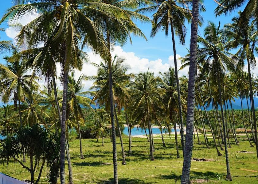  Tanjung View From Room