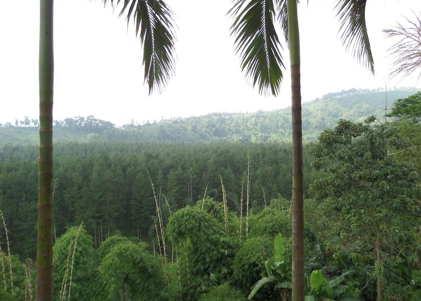 East Java Sukapura View from Property