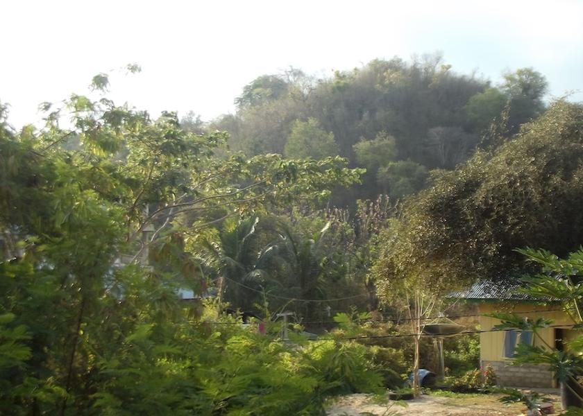 East Nusa Tenggara Labuan Bajo Exterior