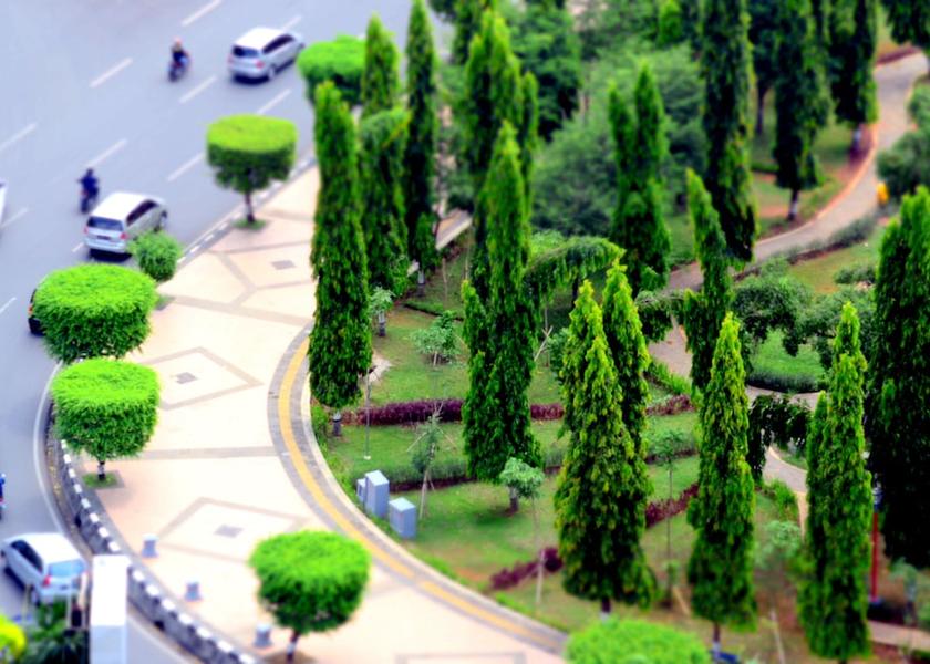 View from property