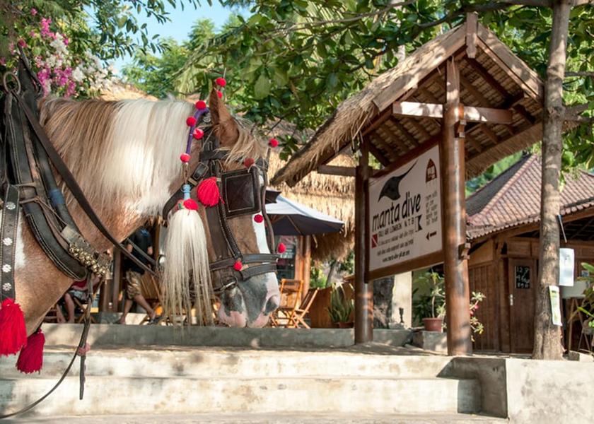  Gili Air View from Property