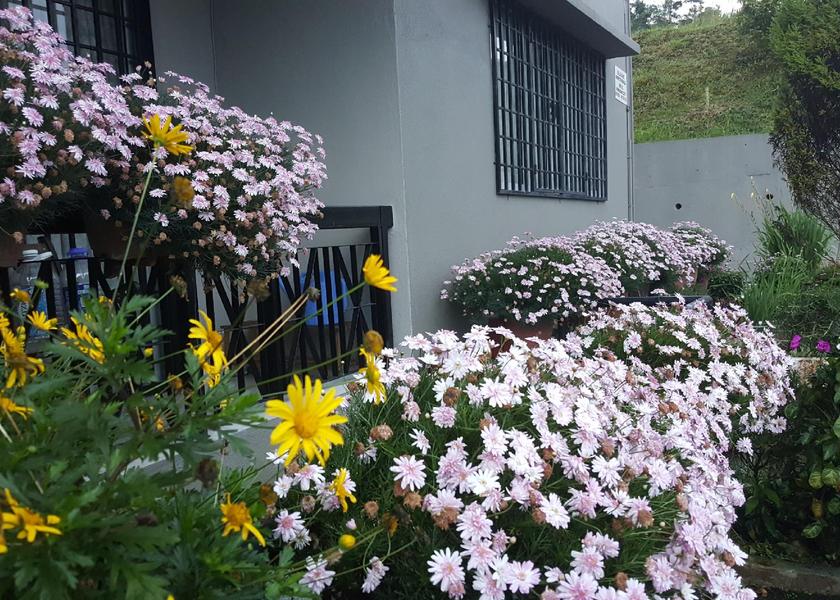 Pahang Ringlet Balcony/terrace
