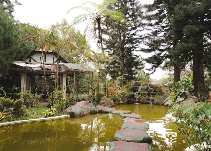 Pahang Tanah Rata Garden