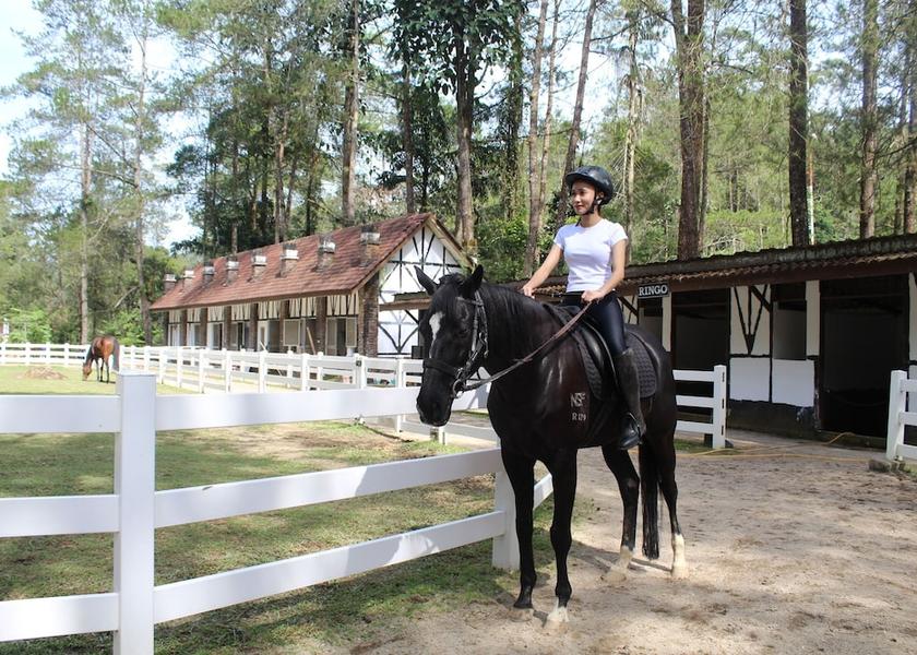 Pahang Bukit Fraser Horse Riding