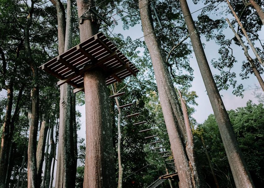Johor Bandar Penawar Ropes course (team building)