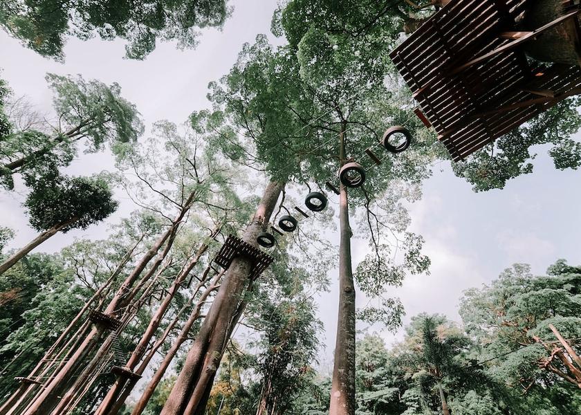Johor Bandar Penawar Ropes course (team building)