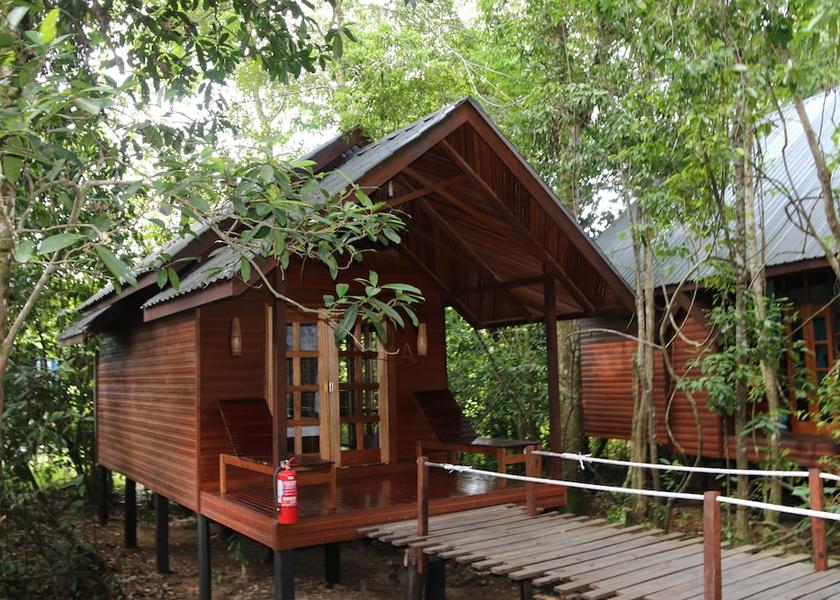 Sabah Kota Kinabatangan Room