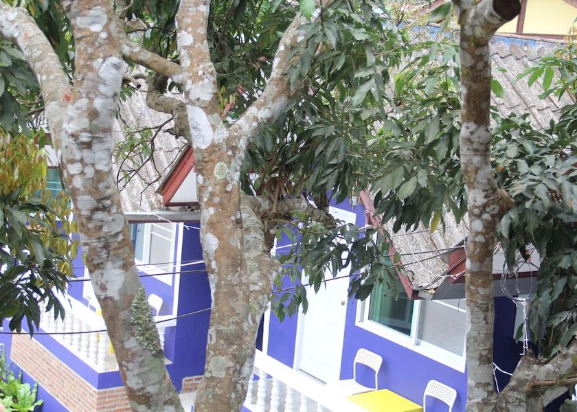 Chiang Rai Province Mae Fa Luang View From Room