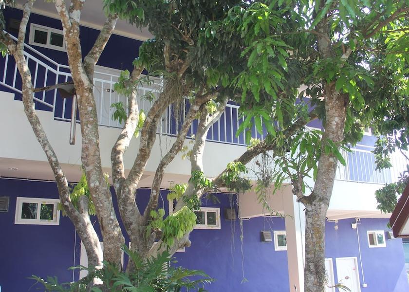 Chiang Rai Province Mae Fa Luang Room