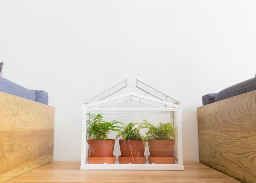 Phayao Phayao Living Area