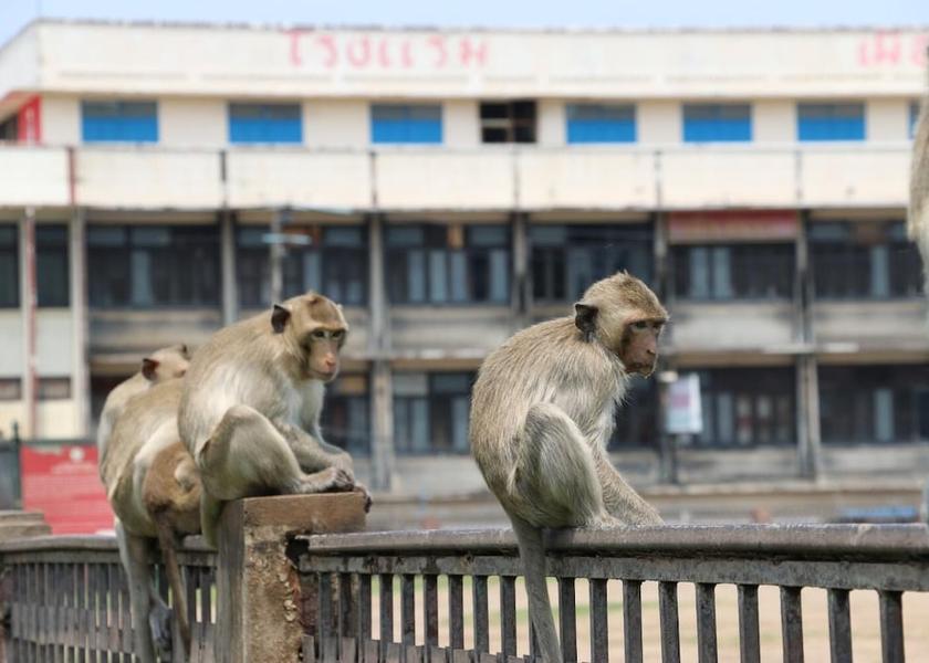 Lop Buri Lop Buri Exterior Detail