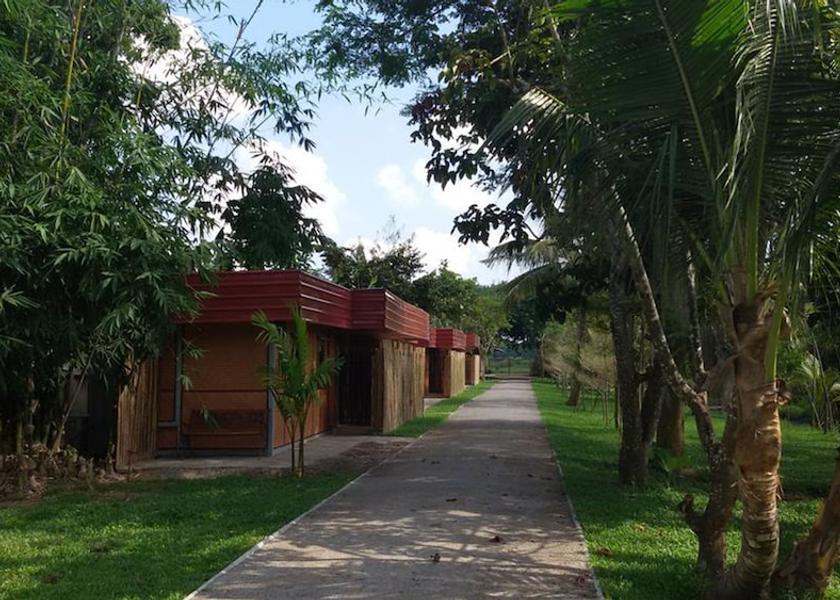 Chiang Mai Province Saraphi Exterior Detail