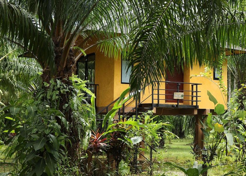 Surat Thani Province Phanom Front of property