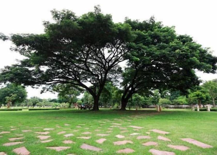 Nakhon Ratchasima Nakhon Ratchasima Property Grounds