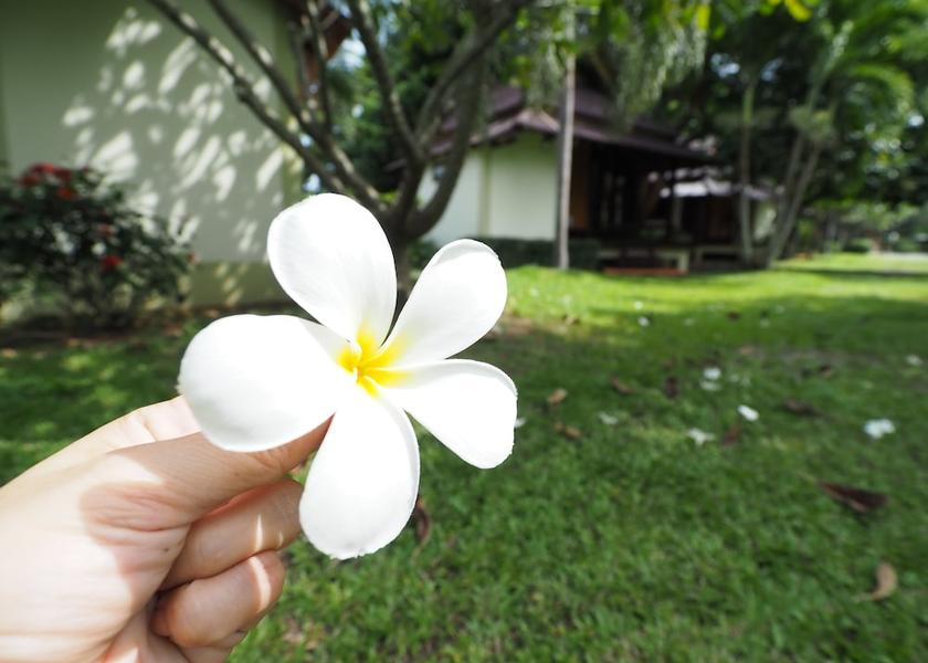 Chanthaburi Tha Mai View from Property