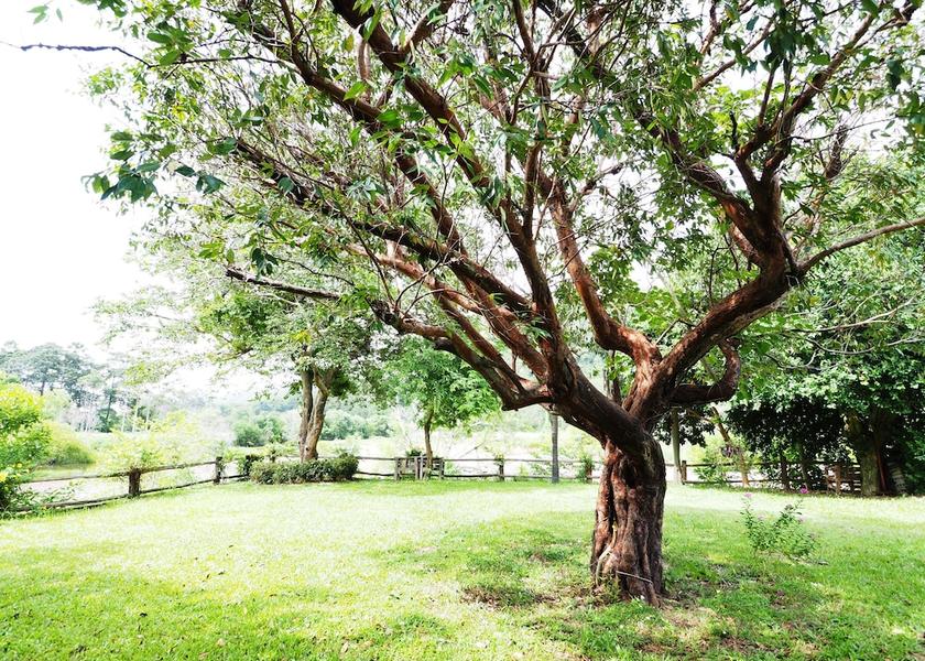 Chanthaburi Tha Mai View from Property