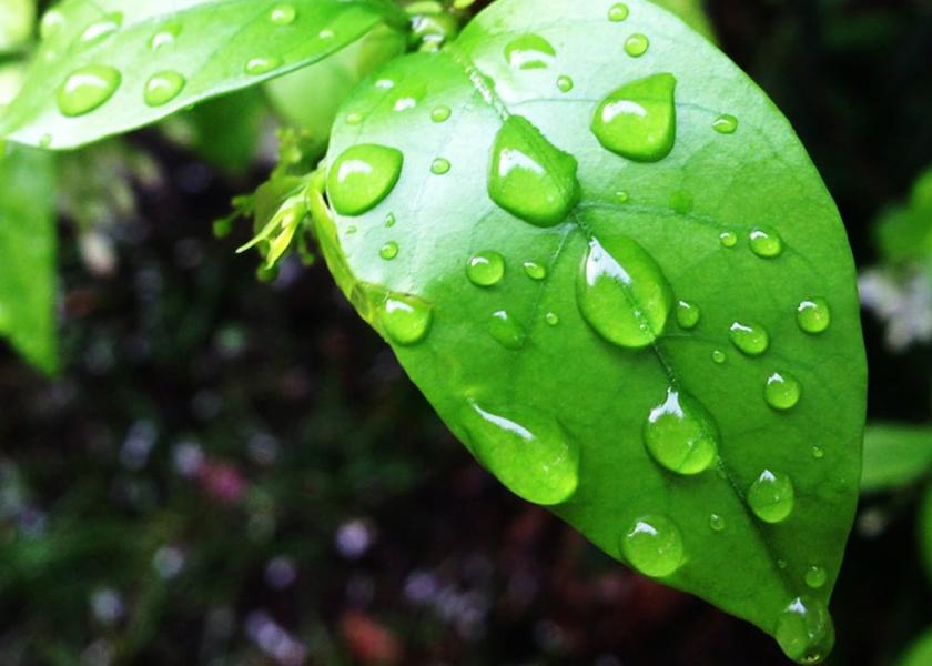 Samut Songkhram Samut Songkhram Garden