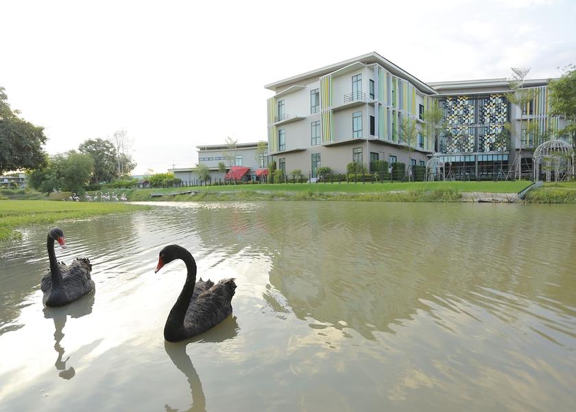 Buri Ram Khu Mueang View from Property