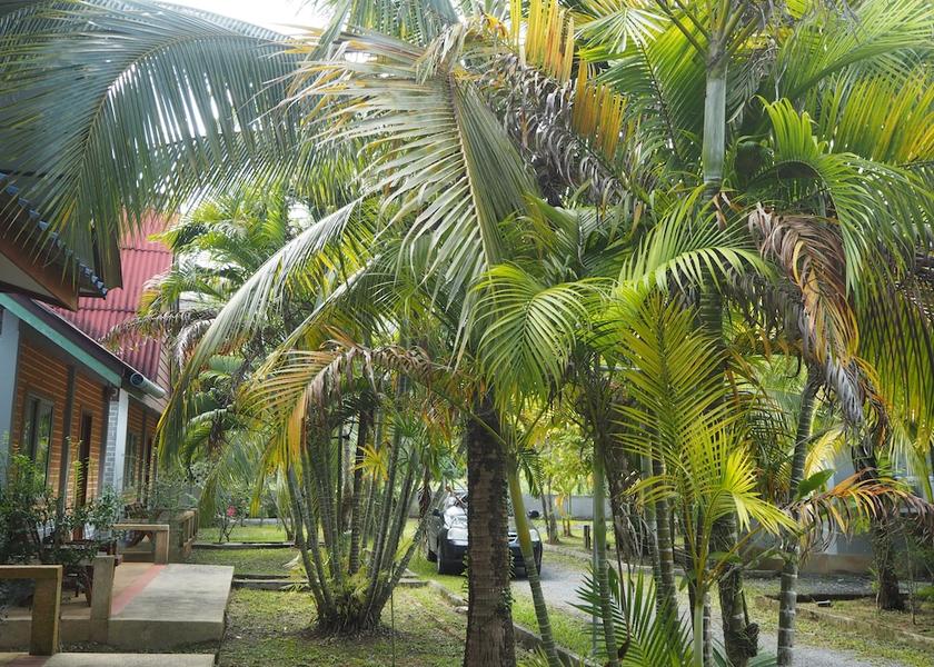 Phuket Sa Khu Exterior Detail