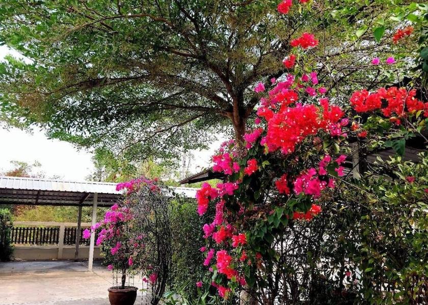 Buriram Province Nang Rong Exterior