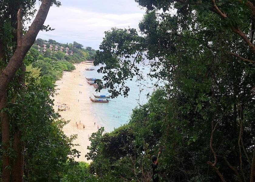 Krabi Province Ko Phi Phi Room