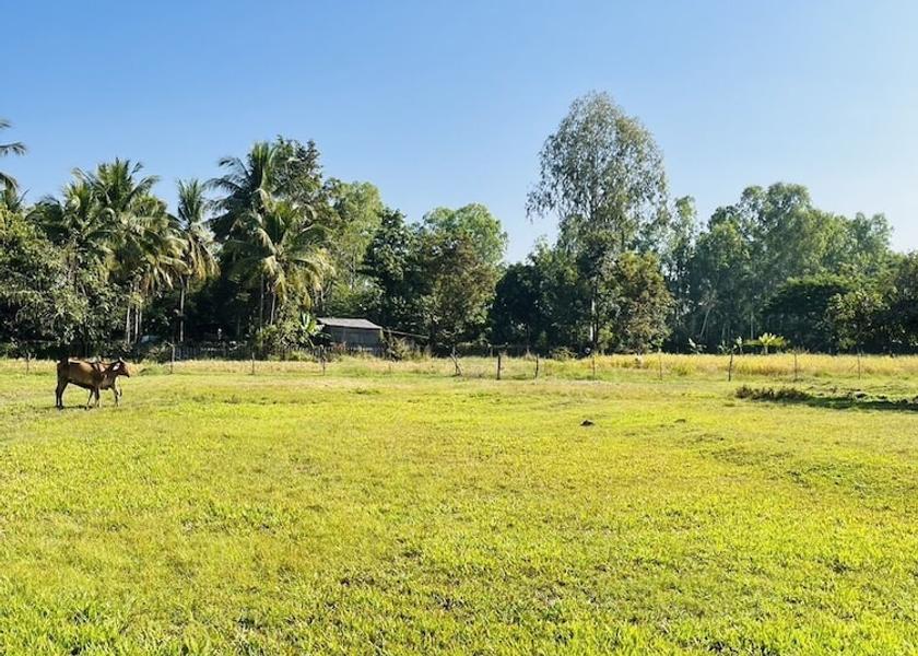 Nong Khai Nong Khai Land View from Property