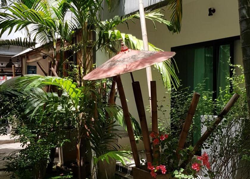 Surat Thani Province Koh Tao Garden