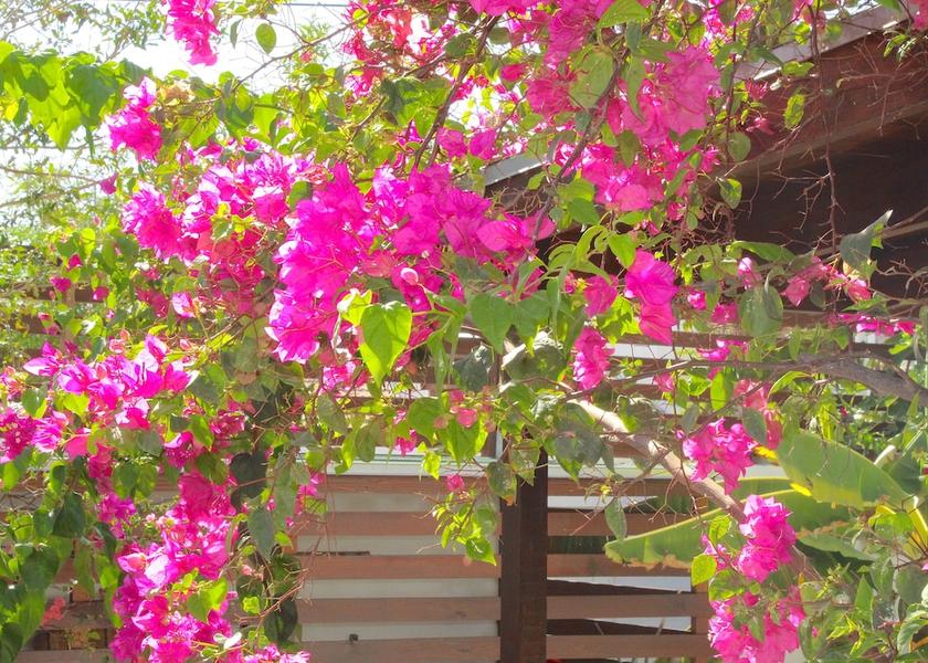  Noord View From Room