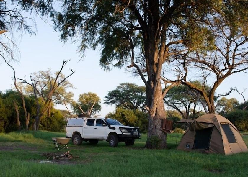 Chobe Chobe National Park Safari