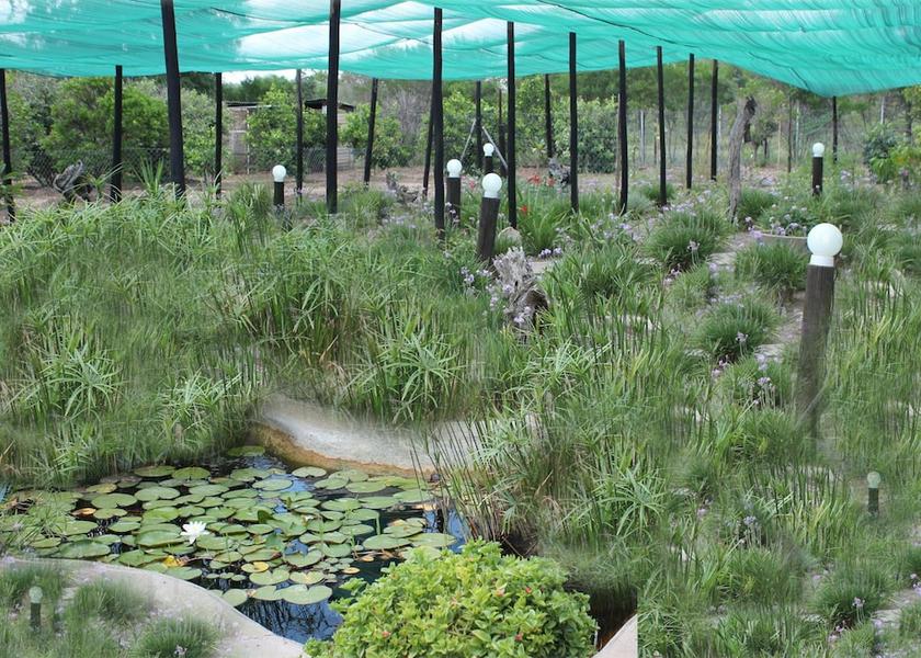 North-East Francistown Garden