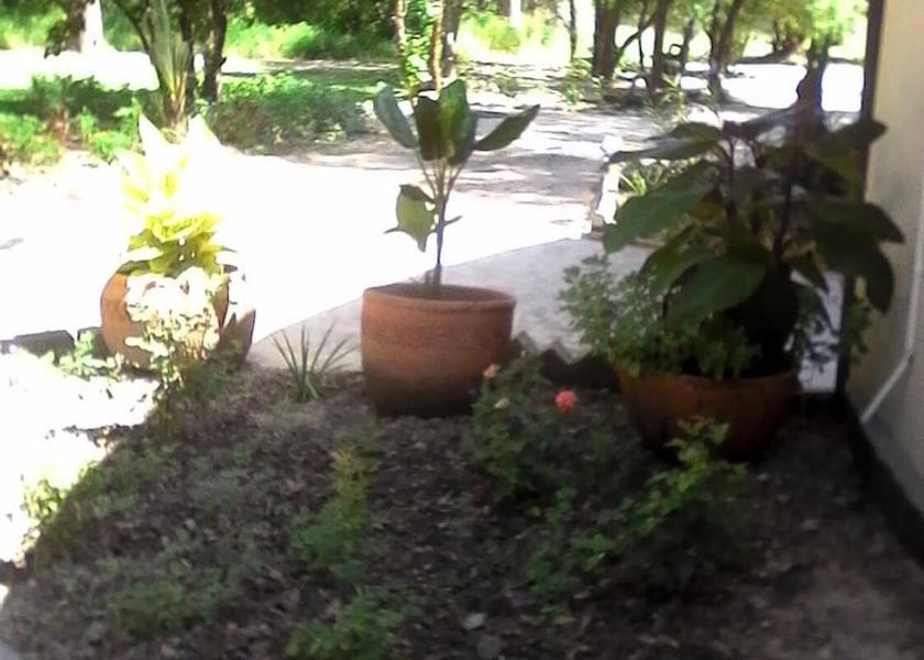  Maun Property Grounds