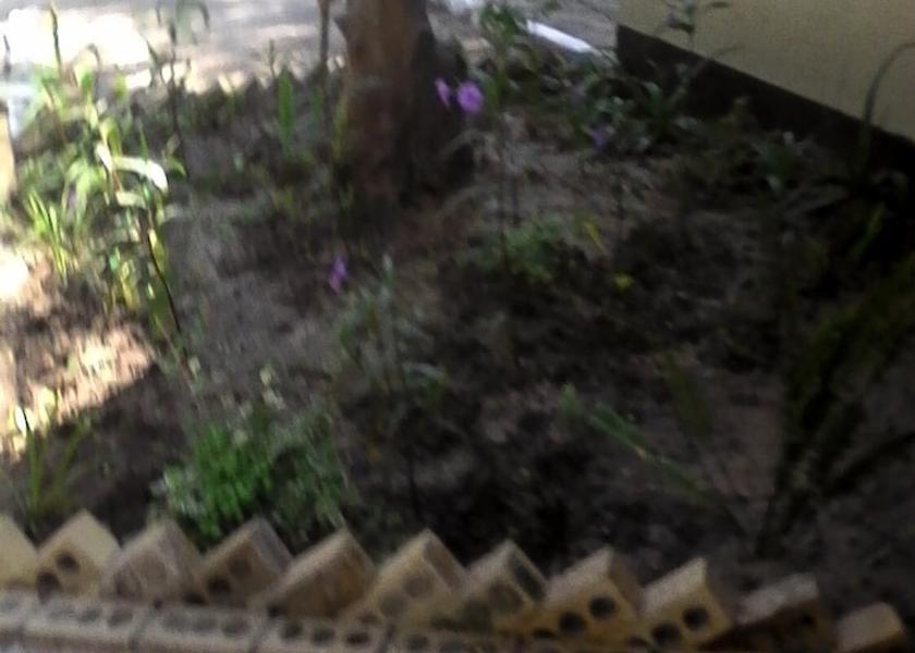  Maun Property Grounds