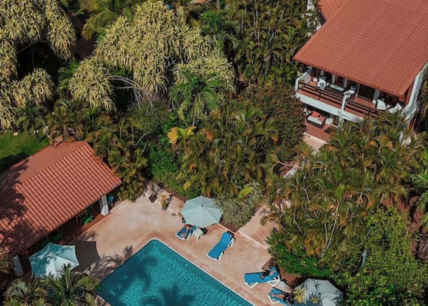 Guanacaste Coco Primary image