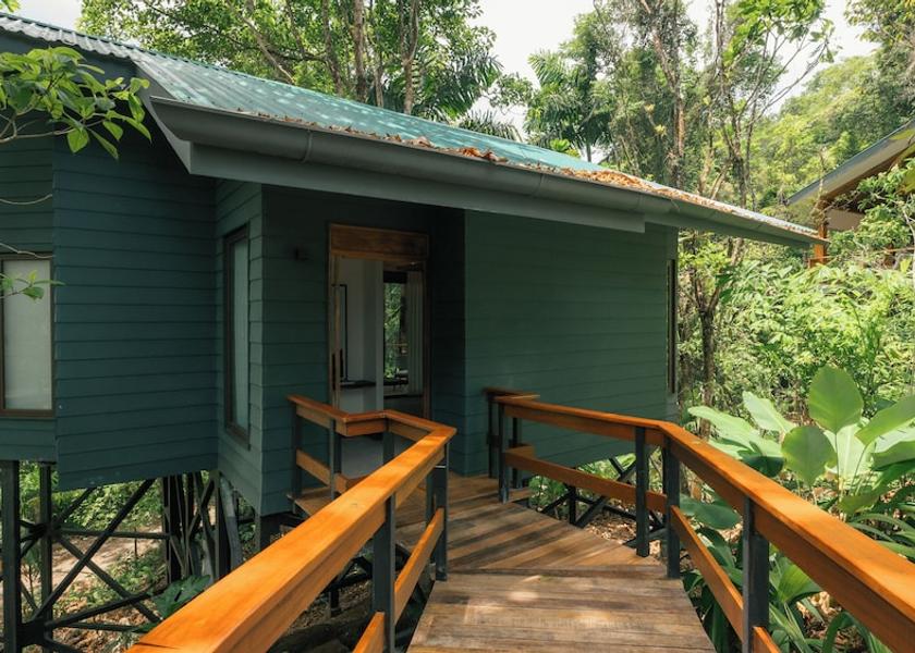 Alajuela Province Peñas Blancas Room