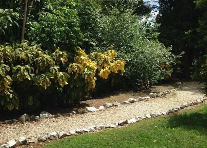 Guanacaste Coco Property Grounds