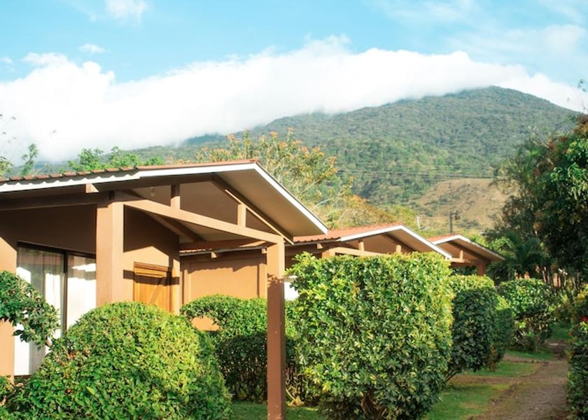 Guanacaste Guayabo Primary image