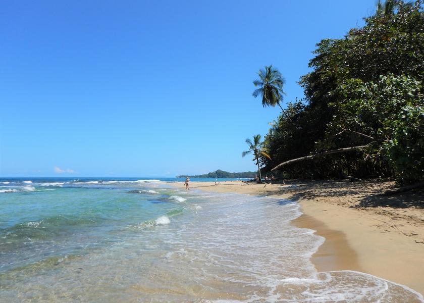 Limon Puerto Viejo de Talamanca Beach