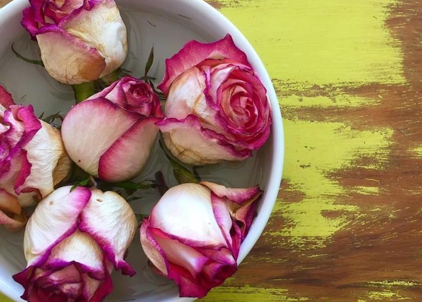 Guanacaste Tamarindo Exterior Detail