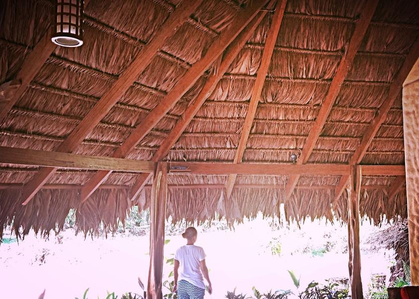 Puntarenas Province Puerto Jiménez Room